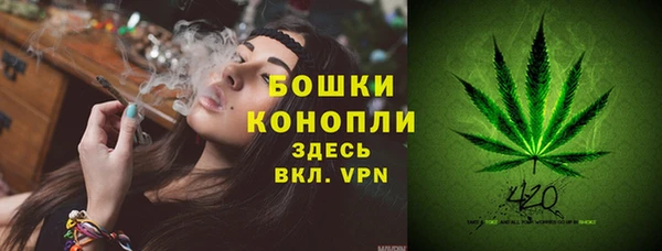 Альфа ПВП Аркадак