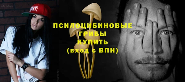 Альфа ПВП Аркадак