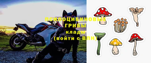Альфа ПВП Аркадак