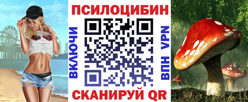 blacksprut зеркало  где найти наркотики  Суворов  Псилоцибиновые грибы Cubensis 